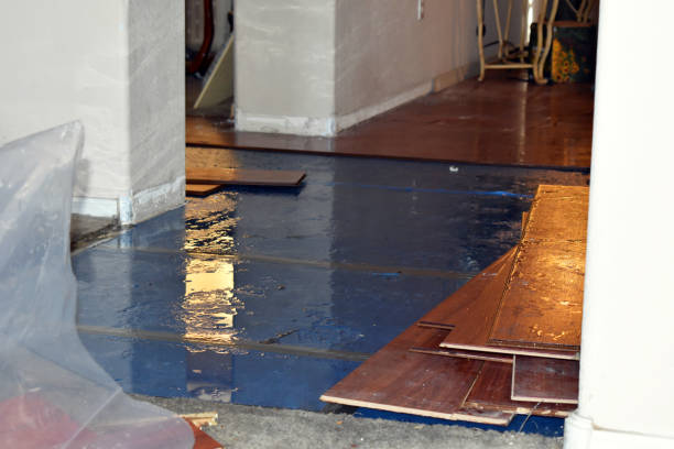 Professional Burst Pipe Cleanup technician working in Zirconia, NC